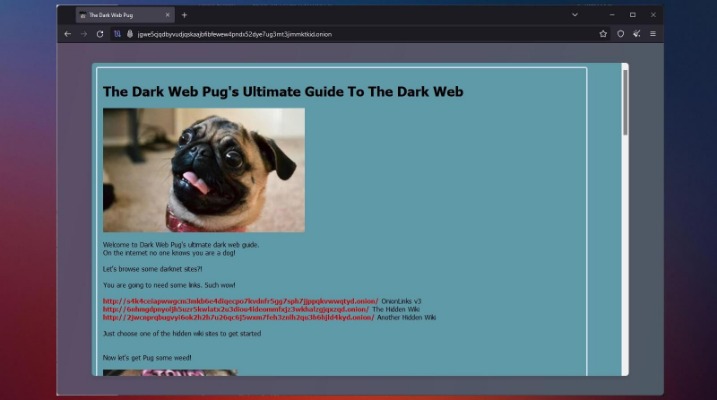 access to the dark web