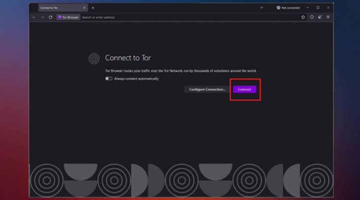 access to the dark web