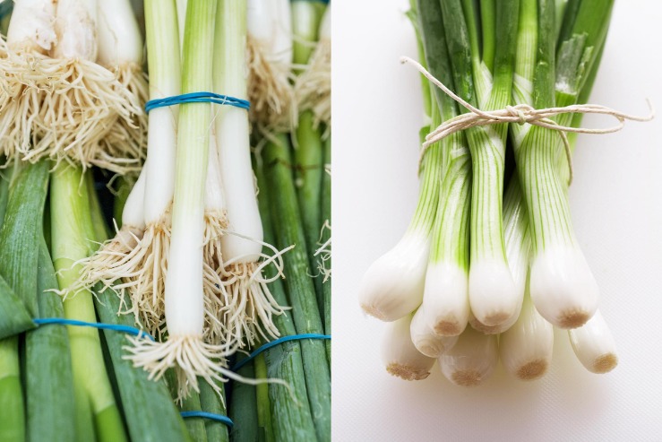 onions links