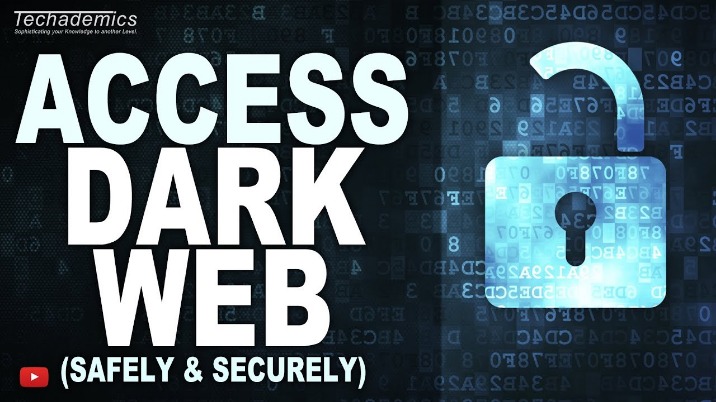 nexus darknet url