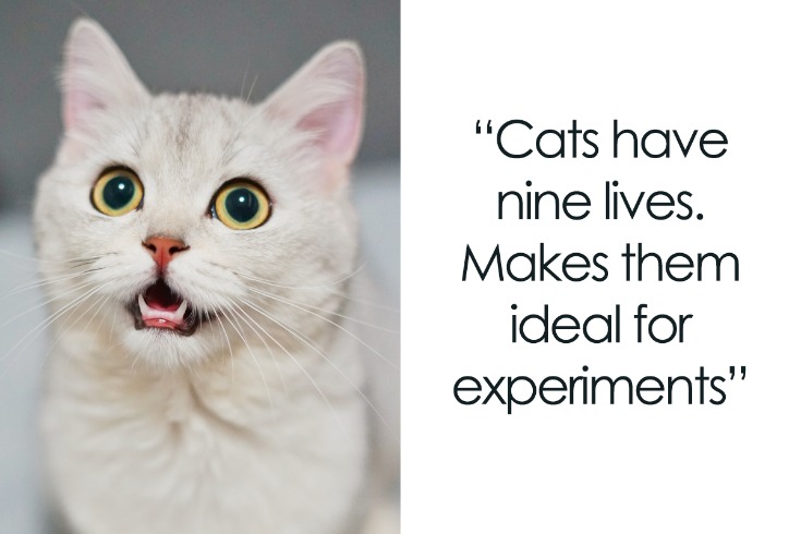 dark web drug markets