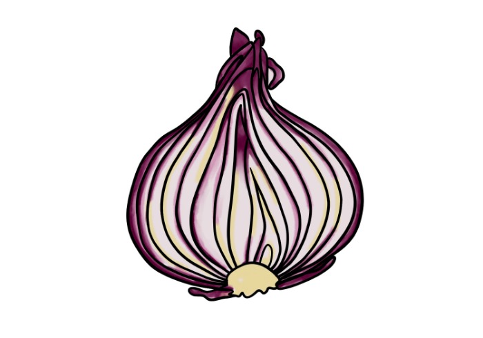 onion seiten 2023