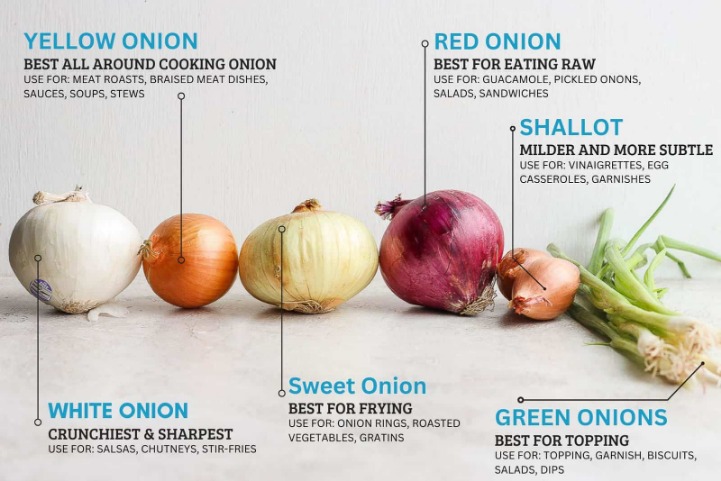 onion seiten 2023