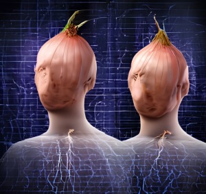 links tor 2025