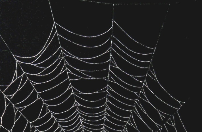 drug markets dark web