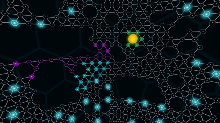reddit darknet market how to
