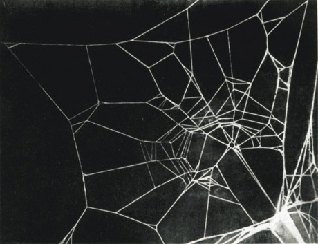 buy drugs on darknet