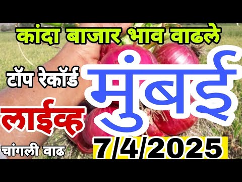 live onion market