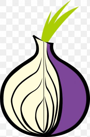 .onion dark web