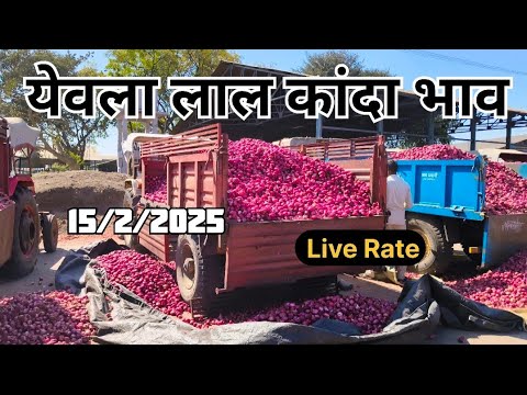 live onion